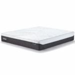 Tempur Proluxe
